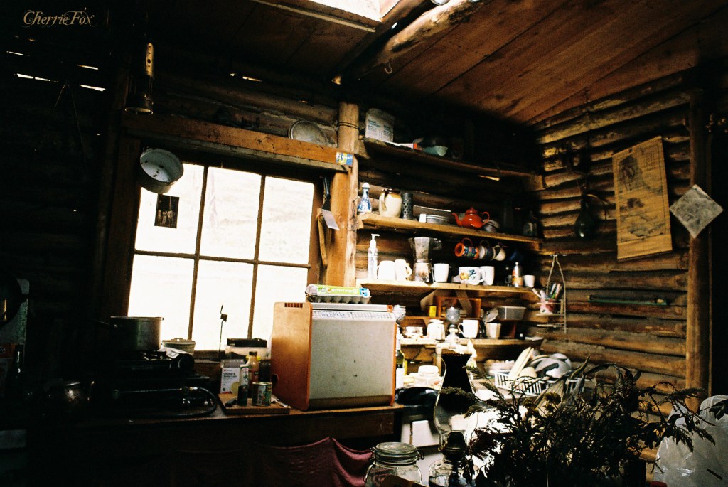 cooking in the kitchen